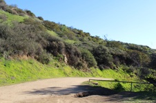 Enlarge photo 95