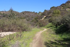 Enlarge photo 96