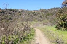 Enlarge photo 97