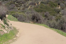 Enlarge photo 98