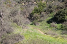 Enlarge photo 99