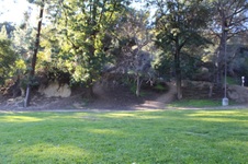 Enlarge photo 105
