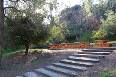 Enlarge photo 107