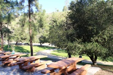 Enlarge photo 108