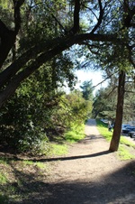 Enlarge photo 109