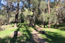 Enlarge photo 110