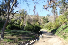 Enlarge photo 111