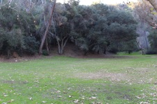 Enlarge photo 114