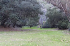 Enlarge photo 115