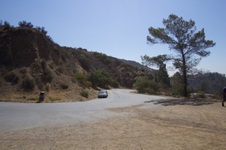 Enlarge photo 57
