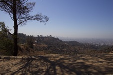 Enlarge photo 62