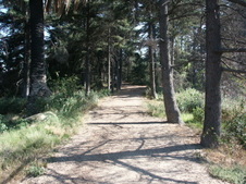 Enlarge photo 3