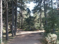 Enlarge photo 6