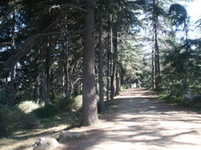 Enlarge photo 7