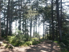 Enlarge photo 11