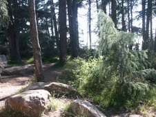 Enlarge photo 12