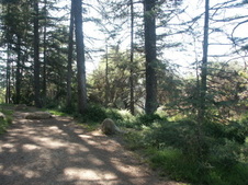 Enlarge photo 14