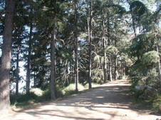 Enlarge photo 15