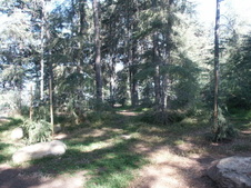 Enlarge photo 19