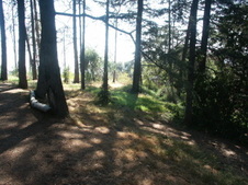Enlarge photo 22