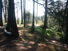 Enlarge photo 23