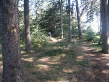 Enlarge photo 24