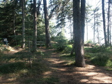 Enlarge photo 25