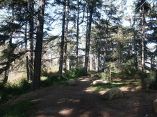Enlarge photo 26