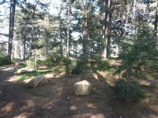 Enlarge photo 27