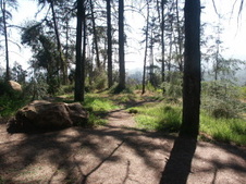 Enlarge photo 28
