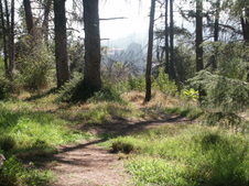 Enlarge photo 30