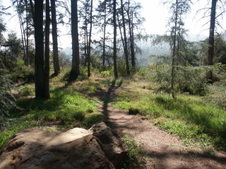 Enlarge photo 31