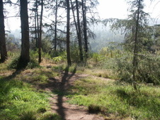 Enlarge photo 32