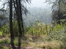 Enlarge photo 33