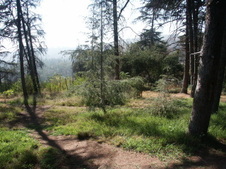 Enlarge photo 34
