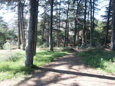 Enlarge photo 35