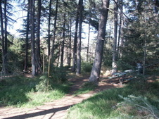 Enlarge photo 36