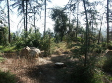Enlarge photo 37