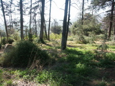 Enlarge photo 38