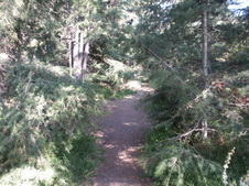 Enlarge photo 39