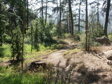 Enlarge photo 40