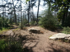 Enlarge photo 41