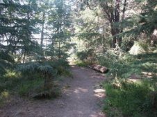 Enlarge photo 42