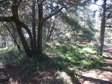 Enlarge photo 47