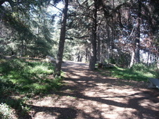 Enlarge photo 48