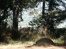 Enlarge photo 51
