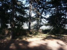 Enlarge photo 52