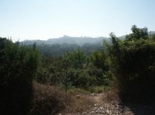 Enlarge photo 53