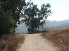 Enlarge photo 118