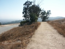 Enlarge photo 119